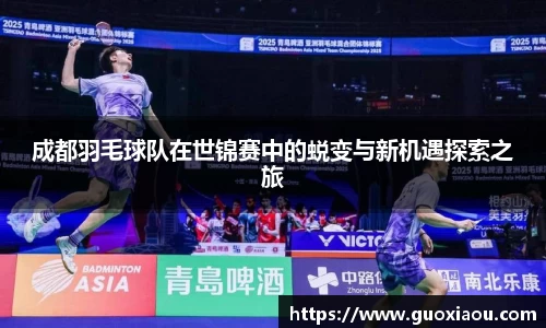 成都羽毛球队在世锦赛中的蜕变与新机遇探索之旅