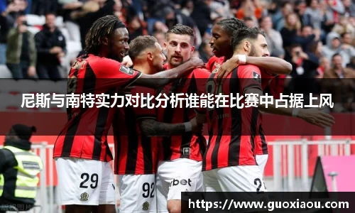 尼斯与南特实力对比分析谁能在比赛中占据上风