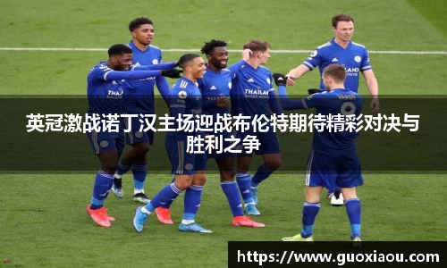 英冠激战诺丁汉主场迎战布伦特期待精彩对决与胜利之争
